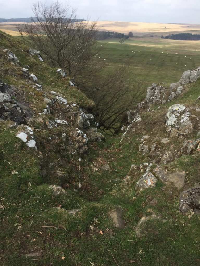 View over rocky outcrops through the greenery